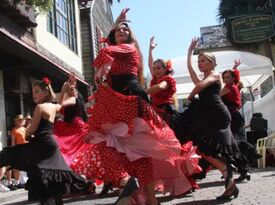 FUEGO FLAMENCO - Flamenco Dancer - Jacksonville, FL - Hero Gallery 1