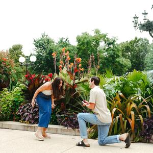 Gallery Photo 64
