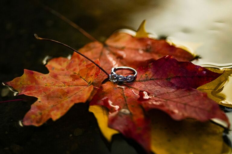 The most beautiful ring!