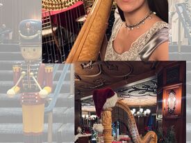 Ksenia - Harpist - Chicago, IL - Hero Gallery 1
