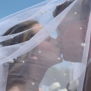 Gallery Photo 11