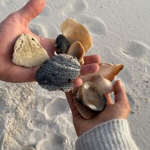 Gallery Photo 27