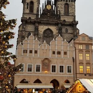 Gallery Photo 10