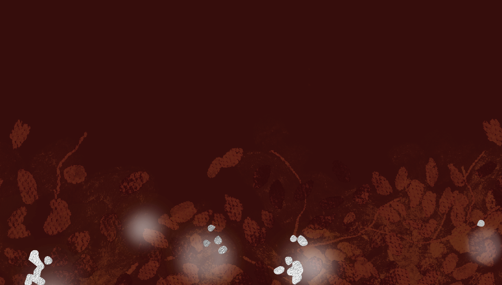 Bottom Theme Image