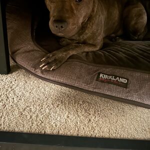 Gallery Photo 9