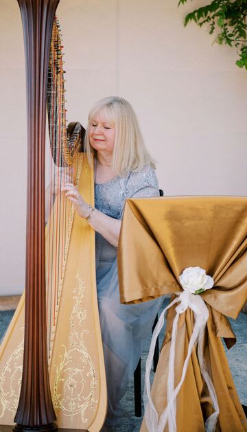 Beautiful Harp Music - Harpist - Reading, PA - Hero Main