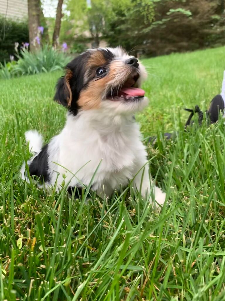 Welcoming Barkley Manning