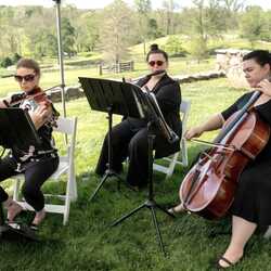Atoka String Quartet, profile image
