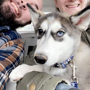 Gallery Photo 27