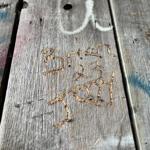 Gallery Photo 66