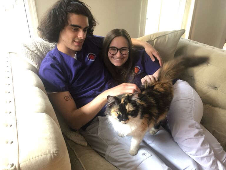 While Gabriel grew up with cats, Kate had never had a cat in her life. Gabriel made it his mission to change that. After months of discussion, Gabriel and Kate decided to go to the Humane Society, with the possibility of adopting a cat.
Upon entering the cat room, one cat stood out to both Gabriel and Kate: the long haired calico that strutted around like she owned the place. Any cat who dared to enter her personal bubble received a hiss and a scratch. Kate was horrified. Gabriel was in love.
Shelby has slowly but surely warmed up to being a welcoming cat; she will now cuddle and purr. But don't let her fluffiness mislead you. As the feline matriarch of the family, Shelby is sure to make sure her brothers are always on their best behavior, whether it be through swatting at them when they are bad to hiding behind a door then jumping out to scare them. Shelby makes sure the world is to her liking and she will keep it that way.