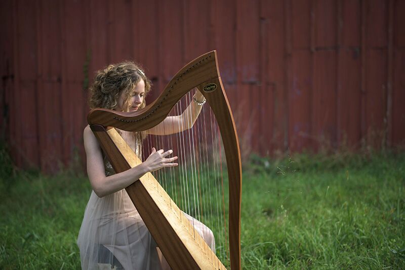 Harpist for a Baby Shower