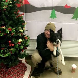 Gallery Photo 31