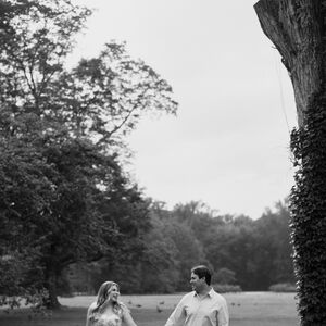 Gallery Photo 14