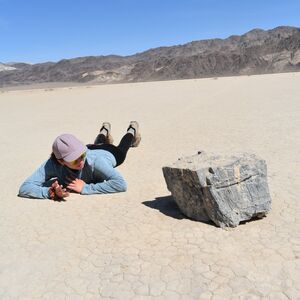 Gallery Photo 11