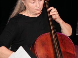Alice Lloyd - String Quartet - Nashville, TN - Hero Gallery 2