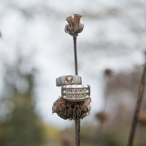 Gallery Photo 20