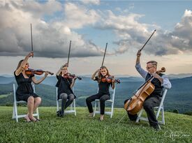 SUMMIT Strings - String Quartet - Boone, NC - Hero Gallery 2