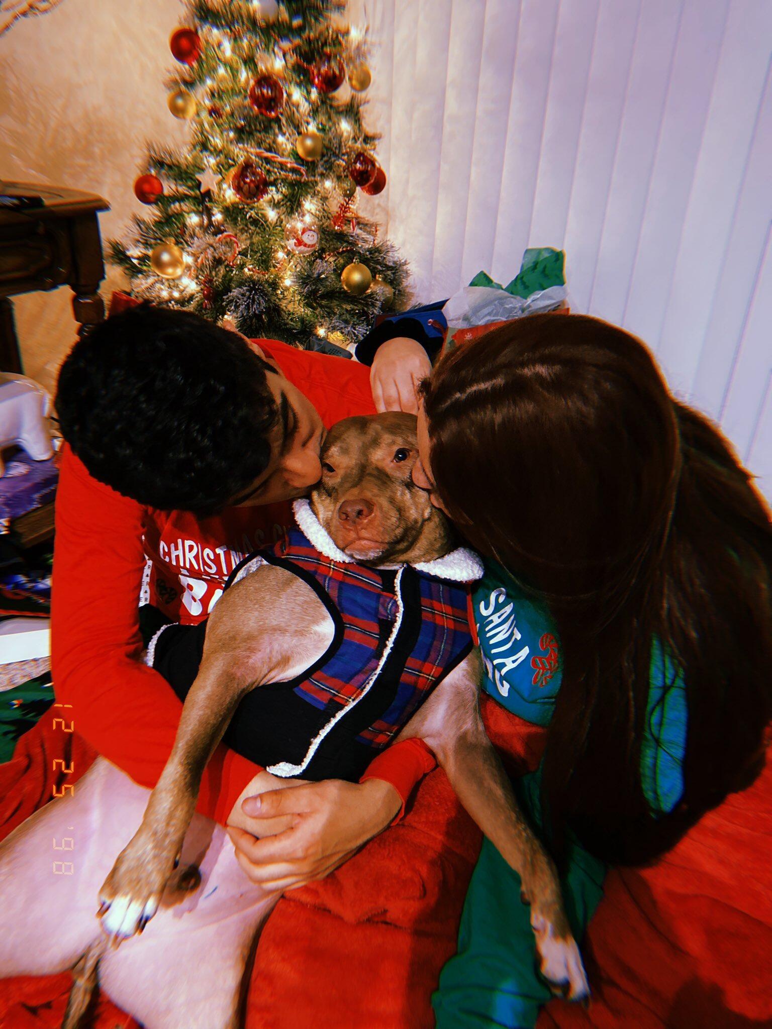 First Christmas as a family