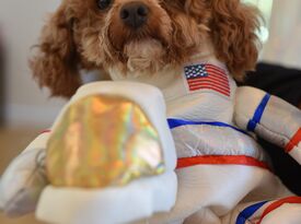 Star Poodlez - Animal For A Party - Los Angeles, CA - Hero Gallery 4