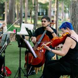 Twin Cities String Quartet, profile image