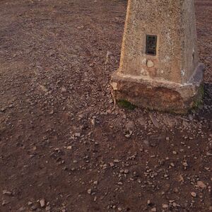 Gallery Photo 316