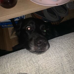 Gallery Photo 9