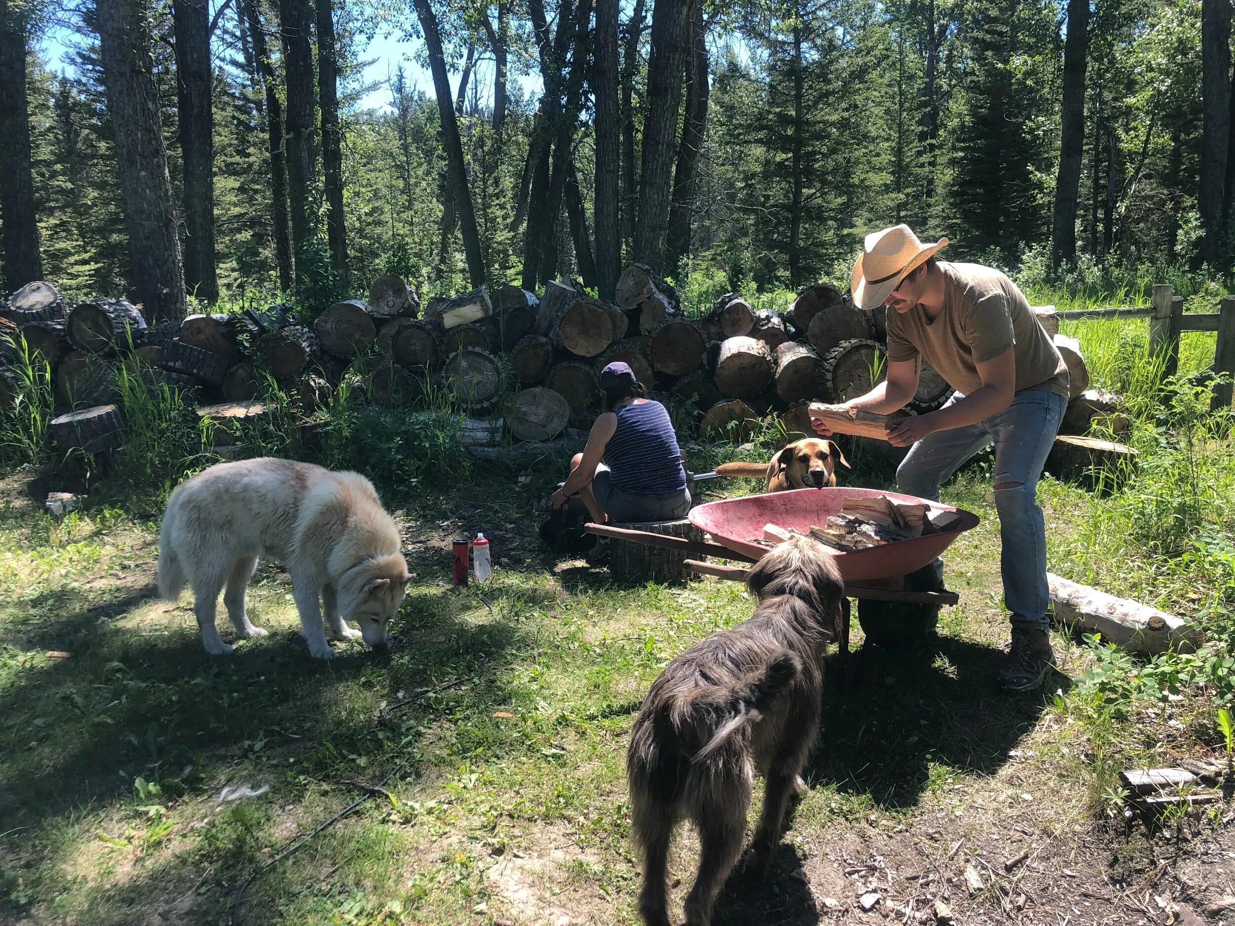 King family cabin wood-chopping.