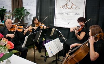 Hyde Park Strings - String Quartet - Austin, TX - Hero Main