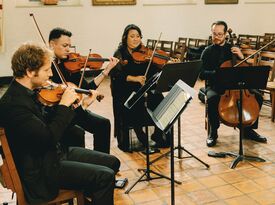 Anthology Entertainment - String Quartet - Orlando, FL - Hero Gallery 2