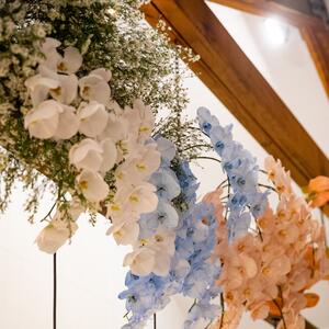Gallery Photo 14