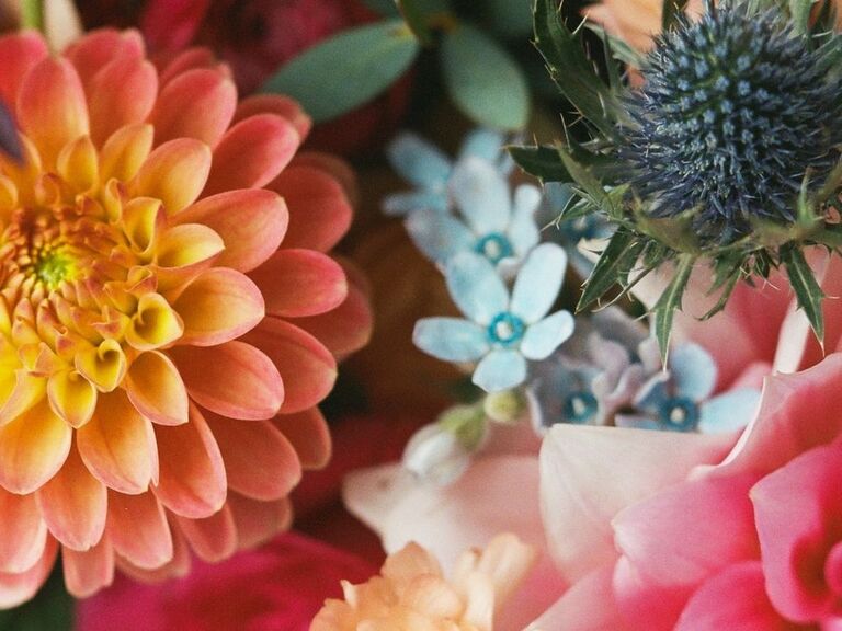 Tweedia in wedding flower arrangement