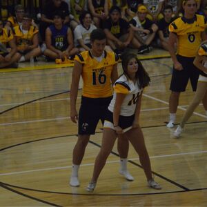 Gallery Photo 44