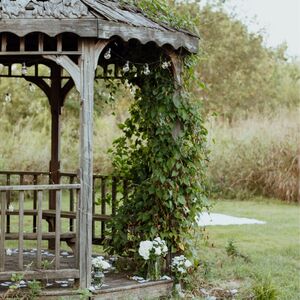 Gallery Photo 20