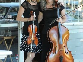 Musical Heart Strings - Classical Quartet - Martinez, CA - Hero Gallery 1