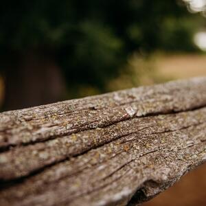 Gallery Photo 16
