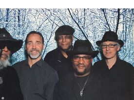Mel Davis & The Blues Specialists - Blues Band - Austin, TX - Hero Gallery 4