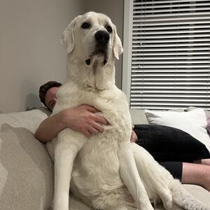 Gallery Photo 74