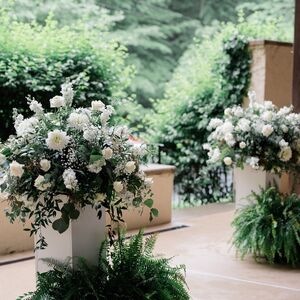 Gallery Photo 219