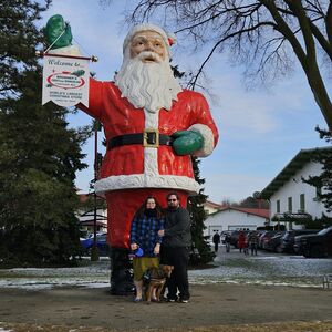 Gallery Photo 181