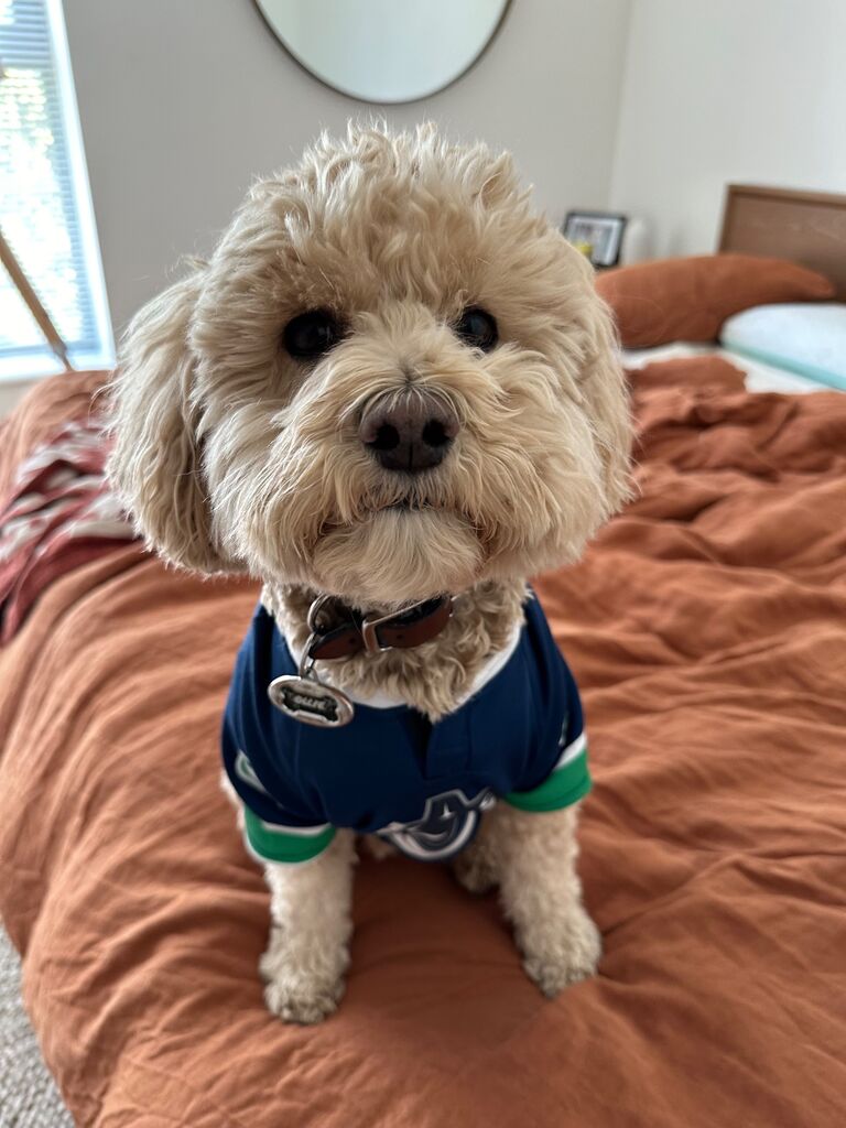Turns out, he got two roommates for the price of one. In addition to adopting a new postal code, he officially became dog dad to Ollie.