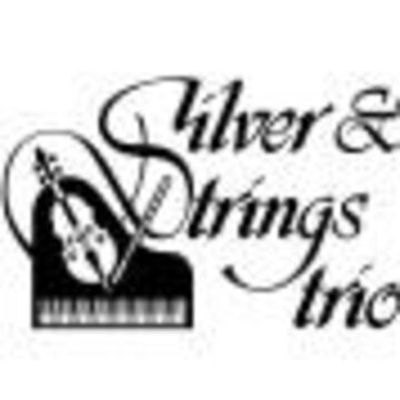 Silver & Strings Trio - Chamber Music Trio - Canton, OH - Hero Main