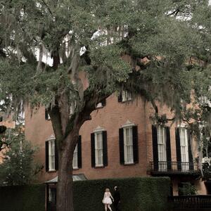 Gallery Photo 19
