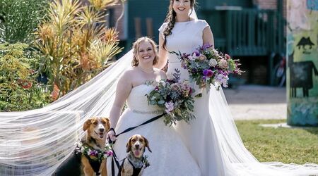 frisco, Dog, Dog Wedding Flower Girl Dress