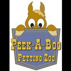 Peek-A-Boo Petting Zoo, profile image