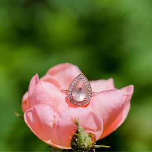 Gallery Photo 36