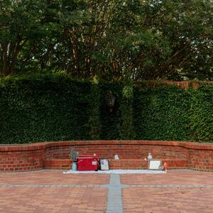 Gallery Photo 1