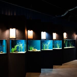 Gallery Photo 1