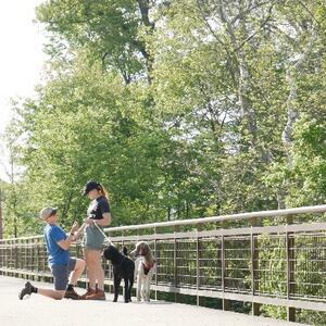 Gallery Photo 24