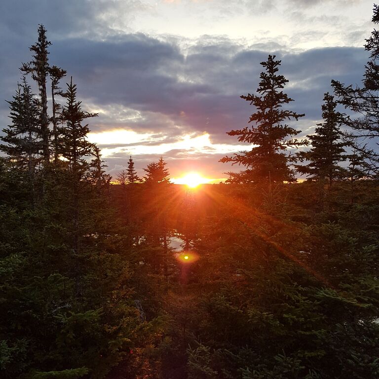 When we first met! We went on a hike to Little Lake, Louisbourg.